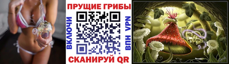 цены   Новосокольники  Галлюциногенные грибы мицелий 